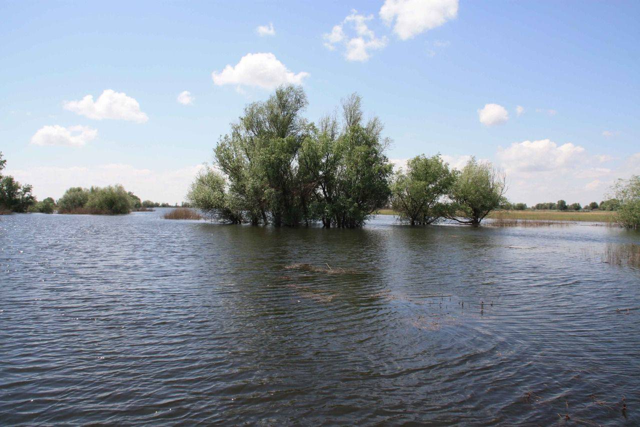 Пристань рыбака