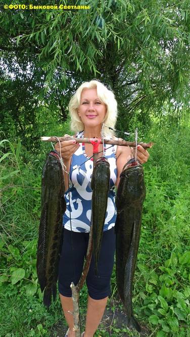 Змееголов супер хищник