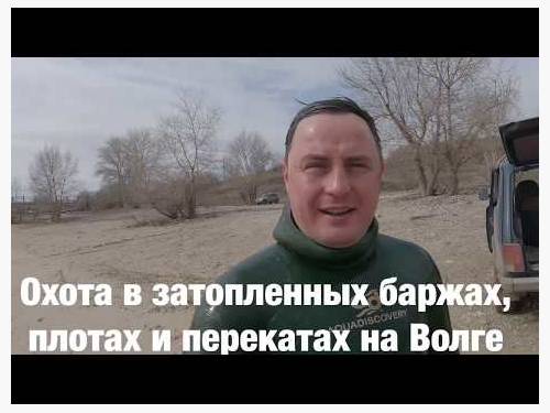 Подводная охота на сома и судака на Волге.