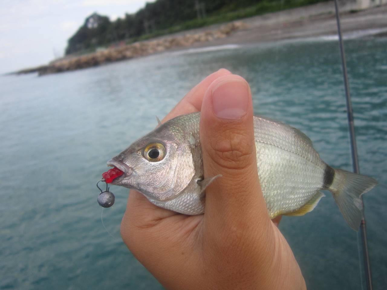 Рыбалка на черном море