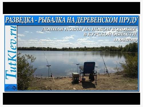 Разведка – Рыбалка на деревенском пруду. Донная ловля на новом водоеме Курской  области 11.08.2019.