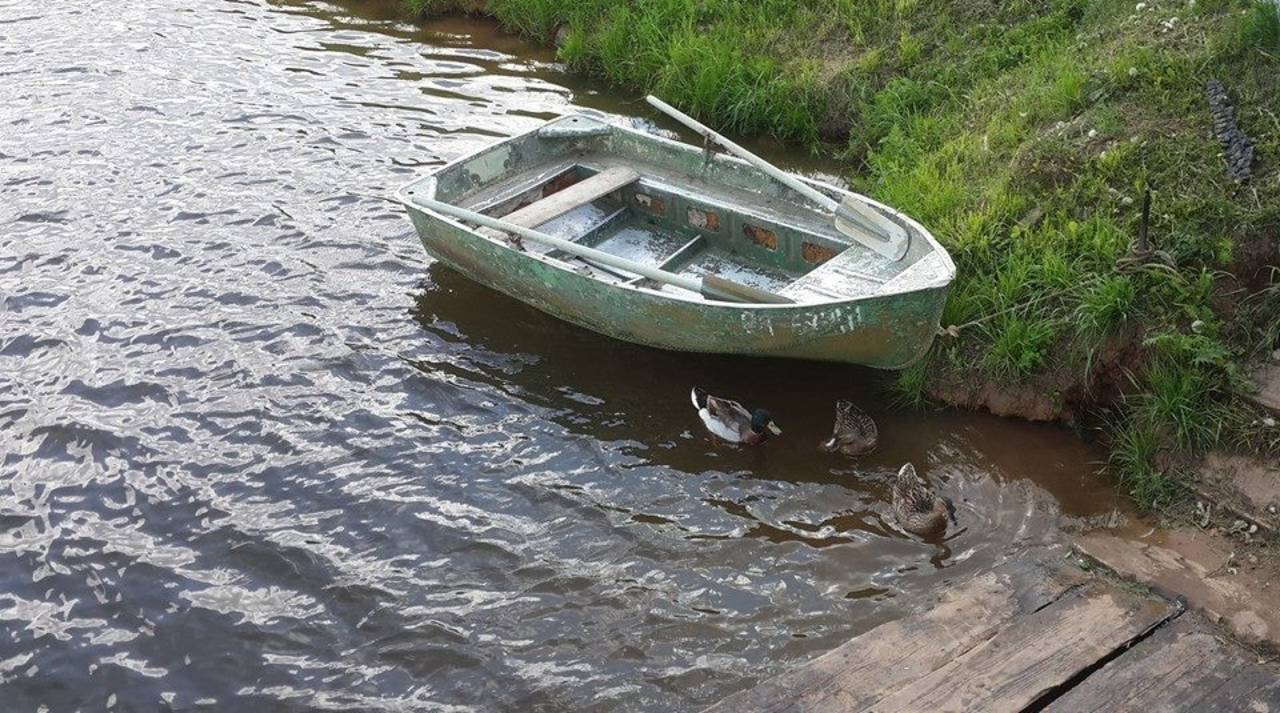 Рыбалка в Родюкино