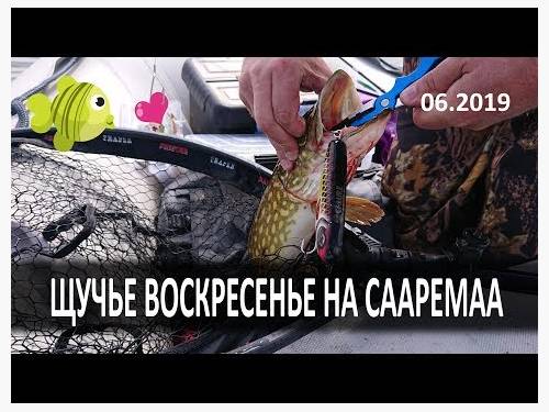 Рыбалка на Сааремаа. Июнь 2019г. Щучье Воскресенье!