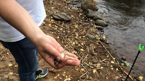 Рыбалка на финском заливе