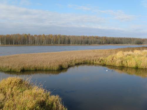 Раздобарино